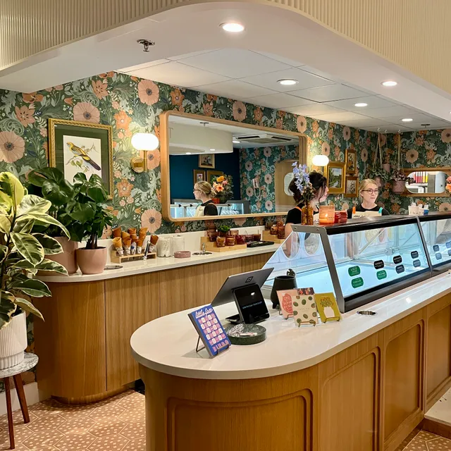 Little Fox Cups + Cones