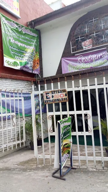 Vegetariano Árbol de Vida