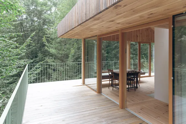 baumhaus buchengrün