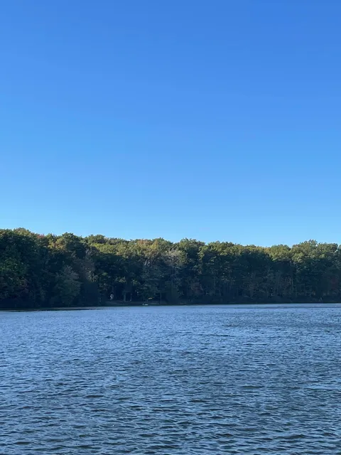 Escape To The Lake Cabins