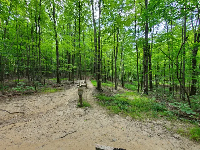 Royalview Mountain Bike Trail (Lower Lot)