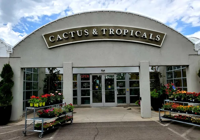 Cactus & Tropicals