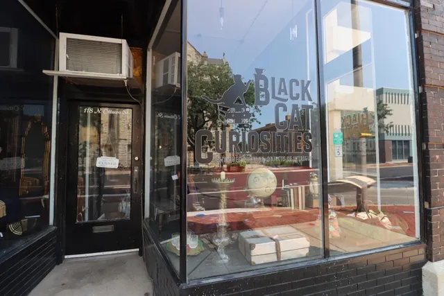 Black Cat Curiosities