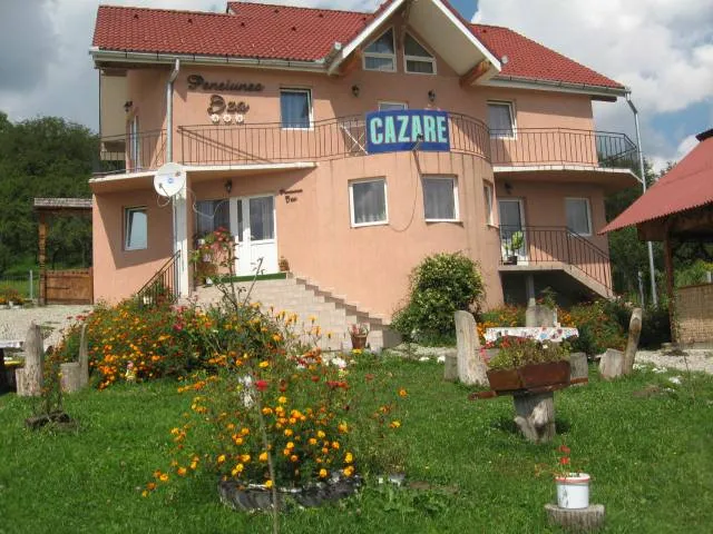 Pensiunea Iza