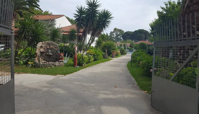 Studio Jimmy's Skiathos & Beer Bar