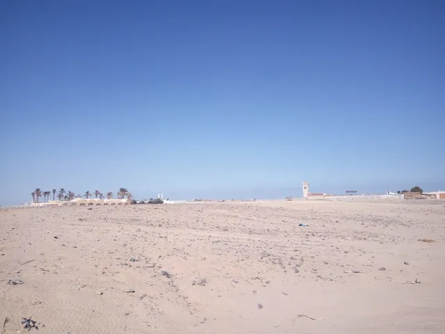 Desert Safari Red Sea