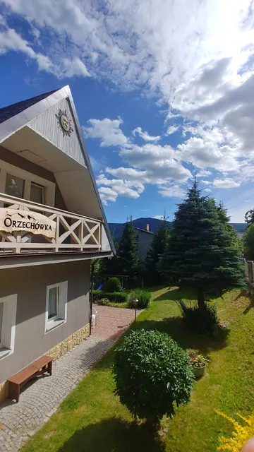 Under the Forest House