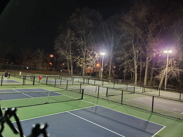Ginty Park Pickleball