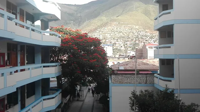 UNIVERSITY OF HUANUCO