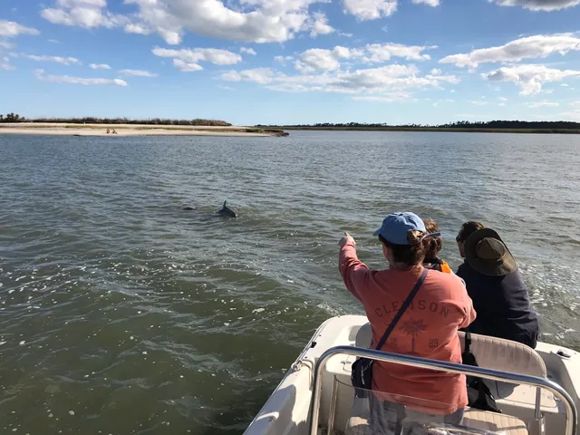 Morris Island Boat Tours