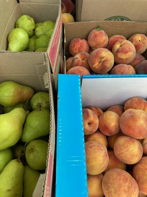 Caldwell Idaho Orchards