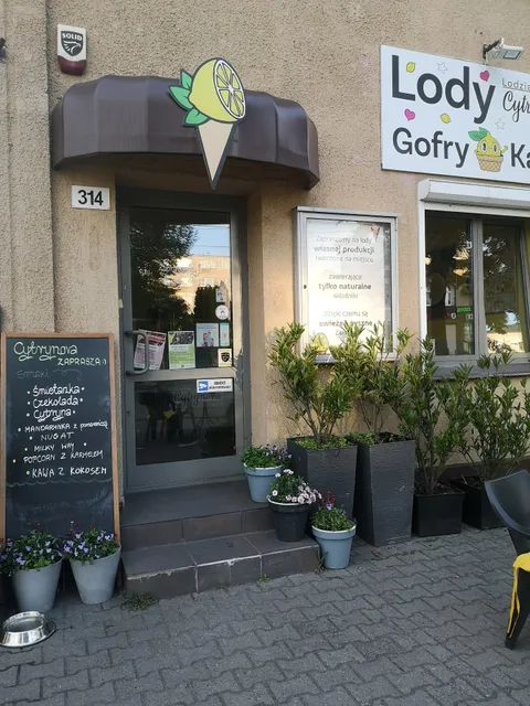 Lodziarnia Cytrynova