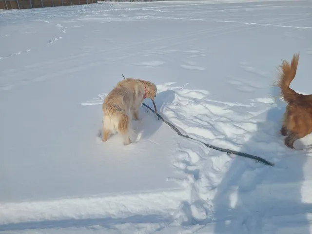 Old Cottage Grove Community Park