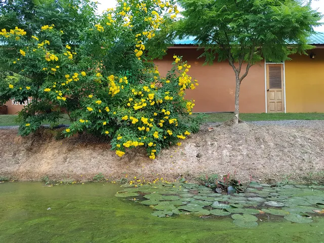 Baandin Resort / บ้านดินรีสอร์ท สุโขทัย