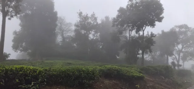 Halakarai Village,Nilgiris