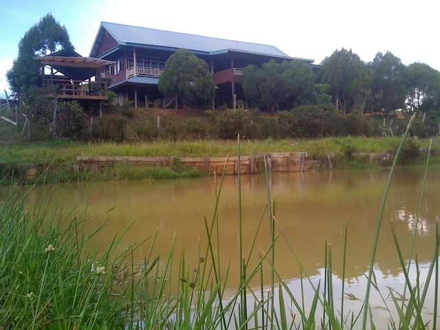 The Ngimat Ayu House Bario