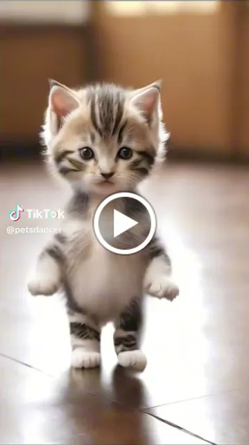 Padaria Pão e Vinho