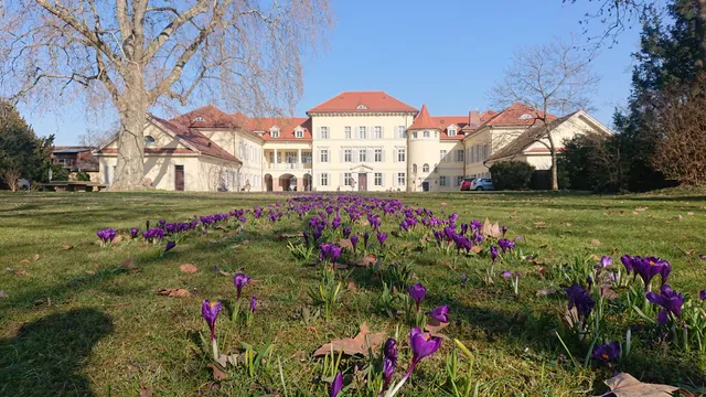 Schlosspark Neckarhausen