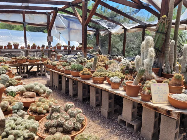 Bach's Greenhouse Cactus Nursery