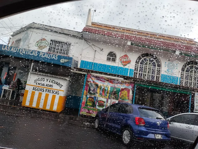 Las Auténticas Flautas de la Romero Rubio