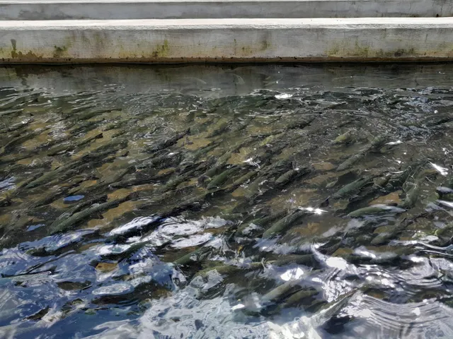 Bowden State Fish Hatchery