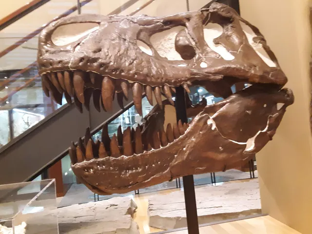 Amherst Business Improvement District