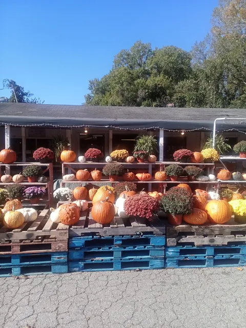 Collinsville Farm Market
