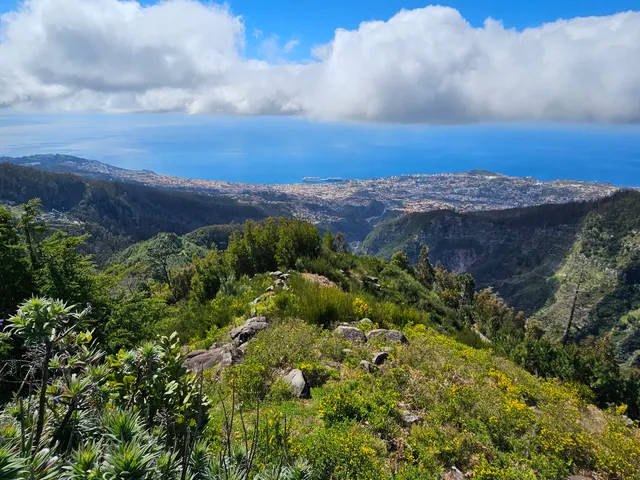 Funchal Ecological Park