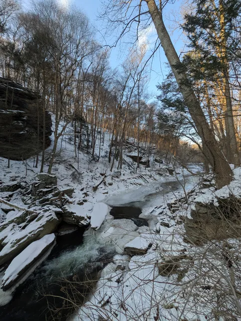 State Game Lands Number 288