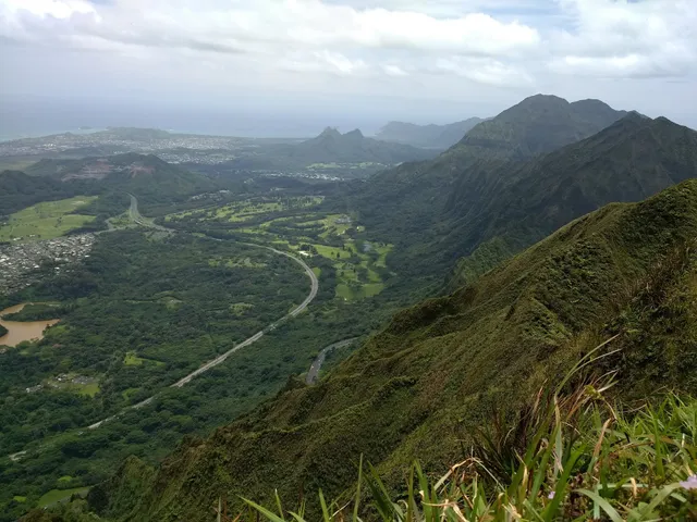 Bowman Trail Lookout