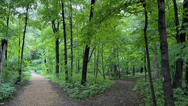 Henry's Woods Park
