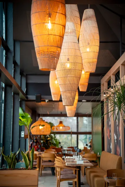 DOMO Asian Fusion & Sushi