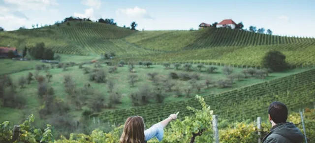 KÖGL . Weingut - Buschenschank - Winzerzimmer