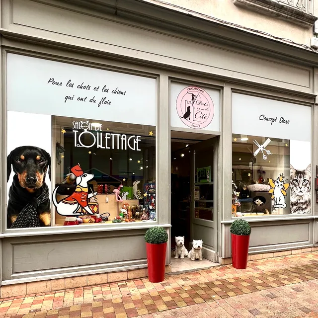Pets in the Cité Concept store et Lavage en Libre Service pour Chiens et Chats
