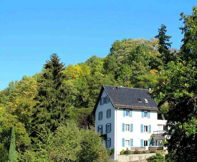 Maison Bellevue -Munster- Gite -location de vacances - Holiday Rental