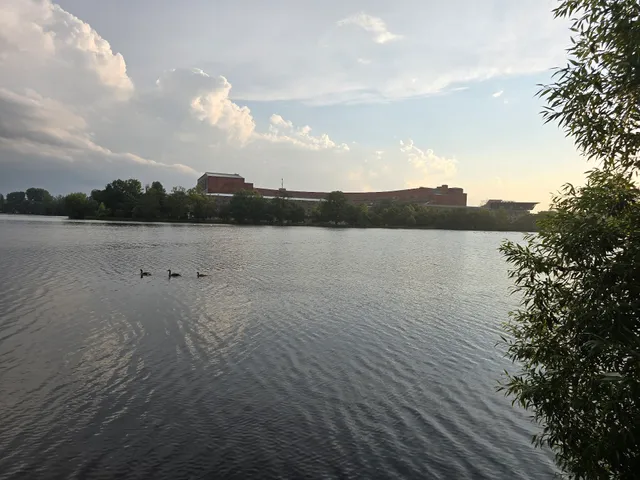 photo-3