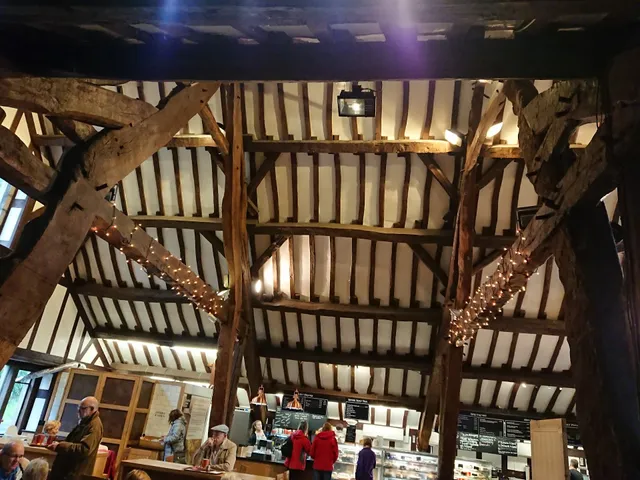 photo-1