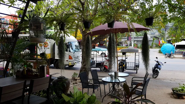 Amazing Thai-Chinese Food