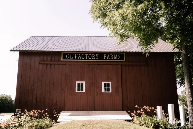 Olfactory Soaps & Scents