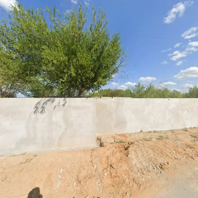 Carnes Asadas la Palma