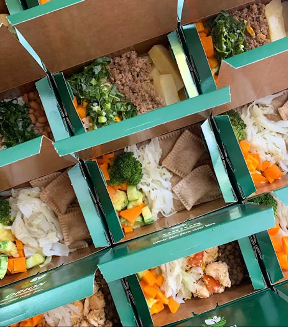 Orion Fit Food | Delivery de Marmitas Saudáveis