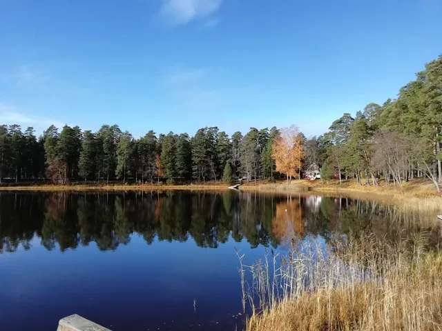 Pitkäjärvi Services Oy