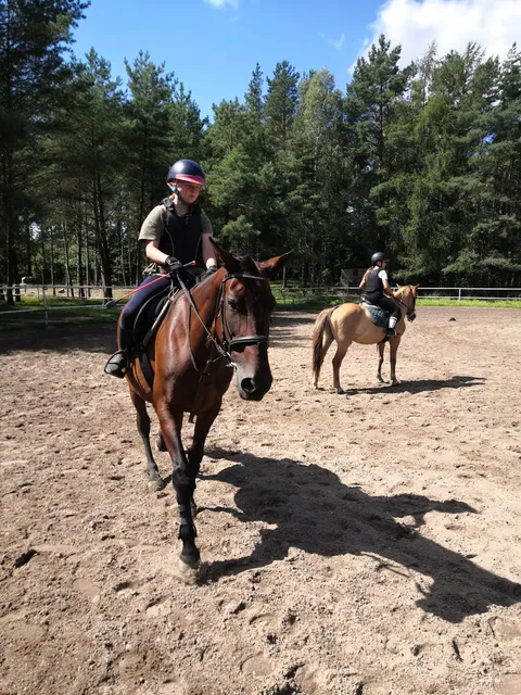 Ośrodek jeździecki Hajduki