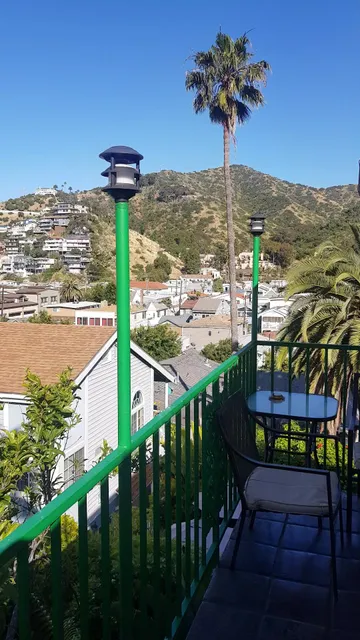 La Paloma Las Flores