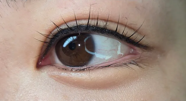 Honey Skincare & Lashes