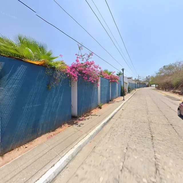 El Árbol Café Bar Terraza