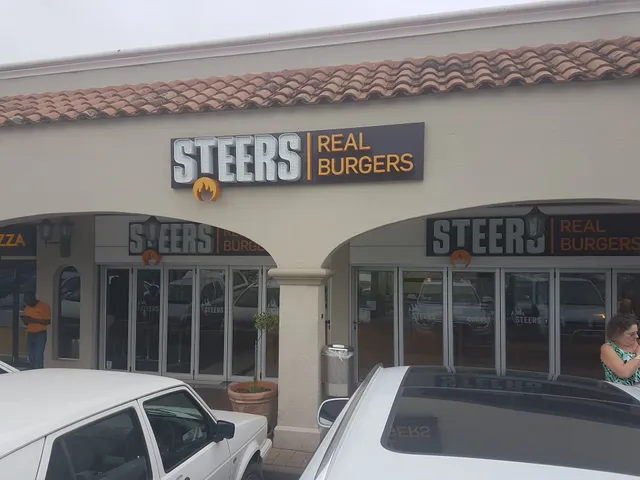 Steers