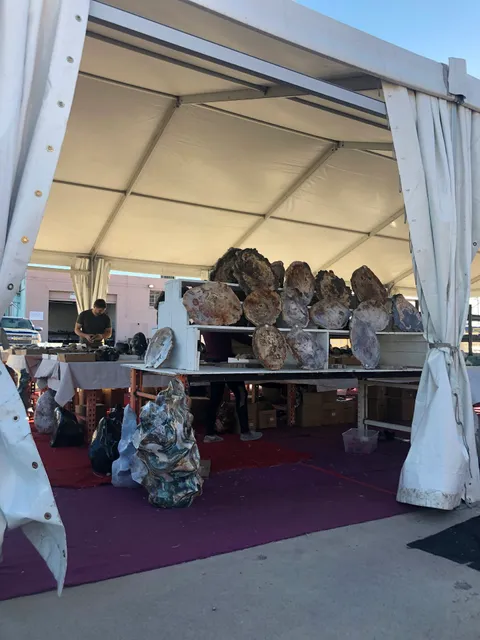 Stone Hut Fossil Shop