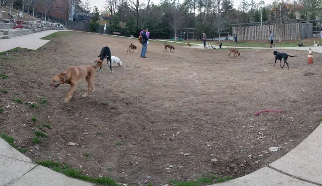 Tanyard Creek Greenspace