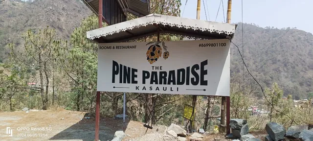 The Pine Paradise